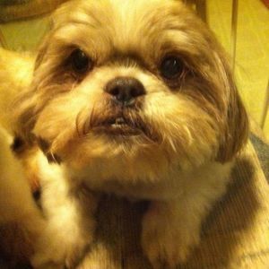 Meet your Posher, Marilyn