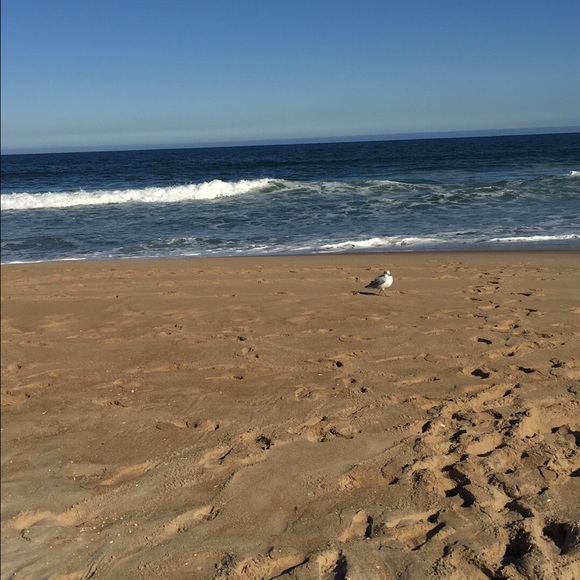 Meet your Posher, Robin