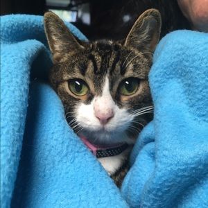 Meet your Posher, Cristie