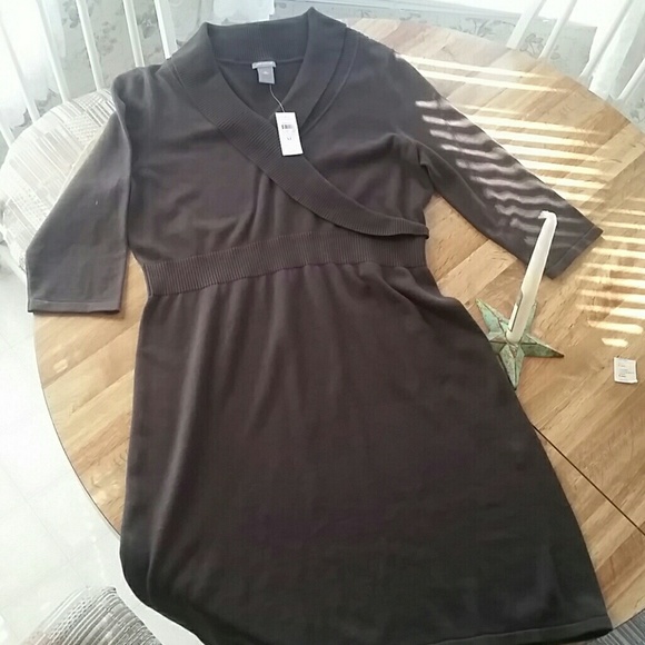 Nwt Cozy Winter Dress by Ann Taylor