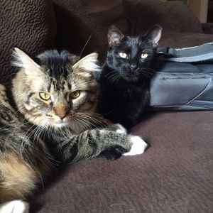 Meet your Posher, Katie