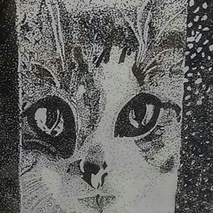 Meet your Posher, Renae