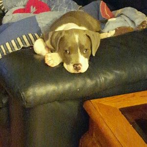 Meet your Posher, Rosalynn