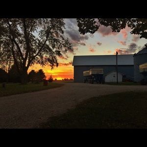 Meet your Posher, Austin