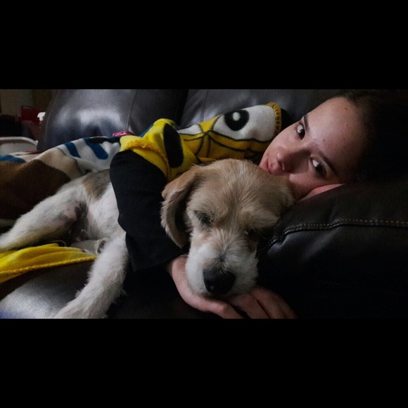Meet your Posher, Lucia - Picture 1 of 1