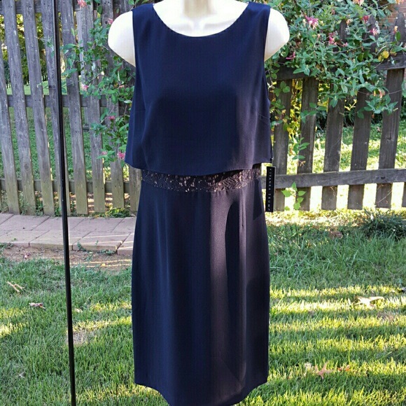 Navy / Nude lace popover dress