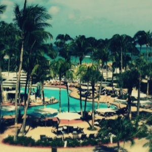 Meet your Posher, Chloe