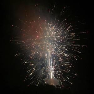 Meet your Posher, Gracie