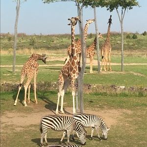 Meet your Posher, Jill