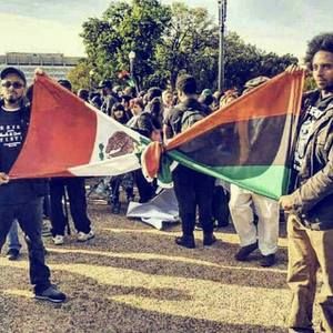 Meet your Posher, Gregory