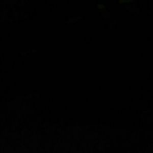 Meet your Posher, Derek