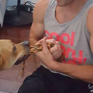 Meet your Posher, Justin