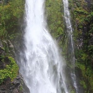 Meet your Posher, Adam