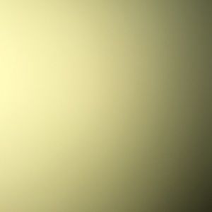 Meet your Posher, Adrian