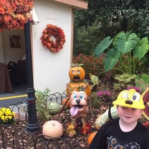 Meet your Posher, Jill