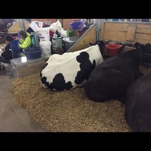 Meet your Posher, Muna