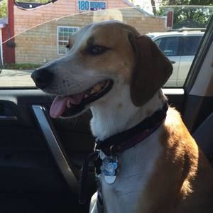 Meet your Posher, Rebecca