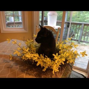 Meet your Posher, Joanne