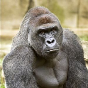 Meet your Posher, Delly