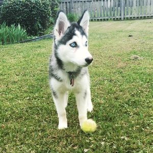 Meet your Posher, Austin