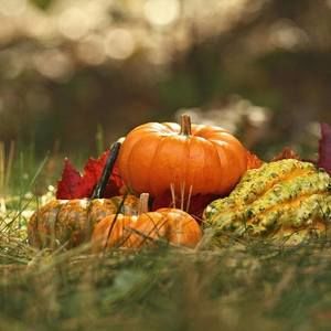 Meet your Posher, Darlene