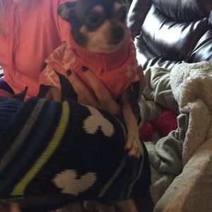 Meet your Posher, Lisa