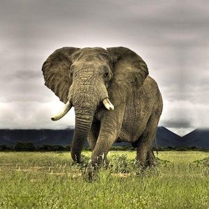 Meet your Posher, Judith