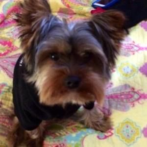 Meet your Posher, Sandra