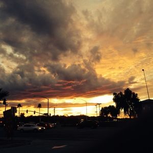 Meet your Posher, Donald