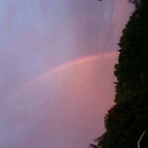 Meet your Posher, Beverly