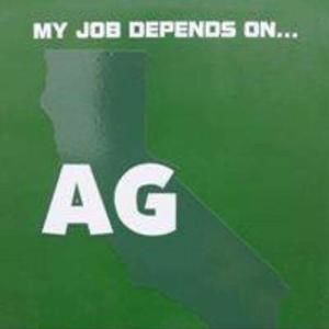 Meet your Posher, Noelle