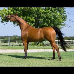 Meet your Posher, Kelsey