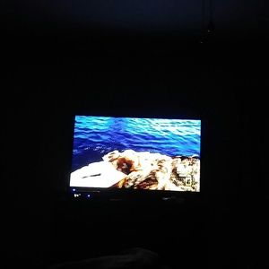 Meet your Posher, Antonio