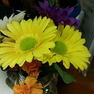 Meet your Posher, Celia