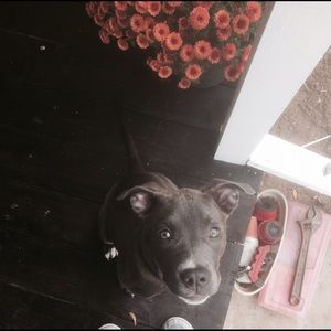 Meet your Posher, Chelsea