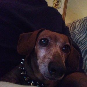 Meet your Posher, William