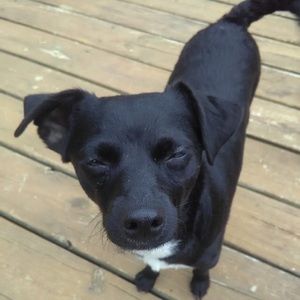 Meet your Posher, Brian