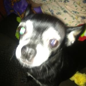 Meet your Posher, Louann