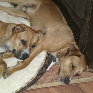 Meet your Posher, Pam