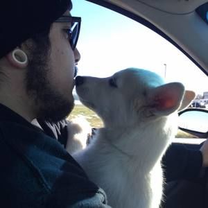 Meet your Posher, Kris