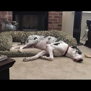 Meet your Posher, Laura