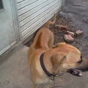 Meet your Posher, Anthony