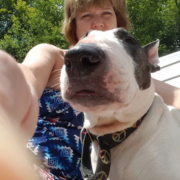Meet your Posher, Denise