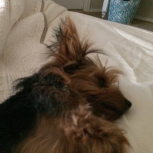 Meet your Posher, Stacy