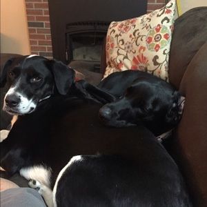 Meet your Posher, Kathy