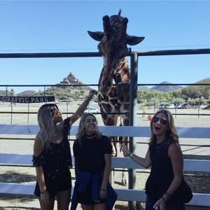 Meet your Posher, Alexa