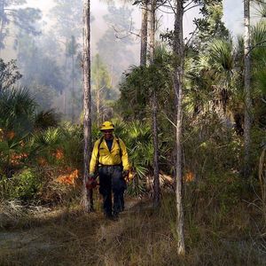 Meet your Posher, Shane