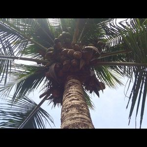 Meet your Posher, Alexia