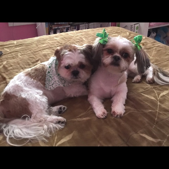 Meet your Posher, Damaris - Picture 1 of 1