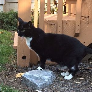 Meet your Posher, Kim